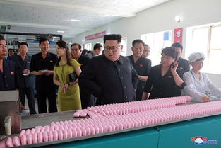 朝中邊境的紡織圖景 金正恩視察背后的經(jīng)濟(jì)信號(hào)與區(qū)域觀(guān)察